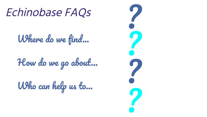 File:Echinobase FAQs general.jpg