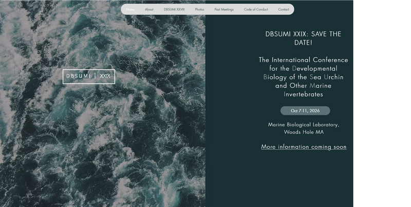 File:Dbsumi Announcment2026 full.png