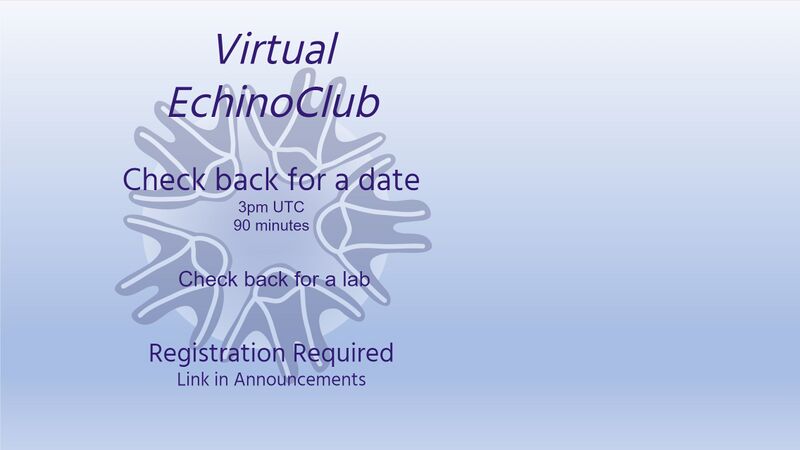 File:Check back EchinoClub2.jpg