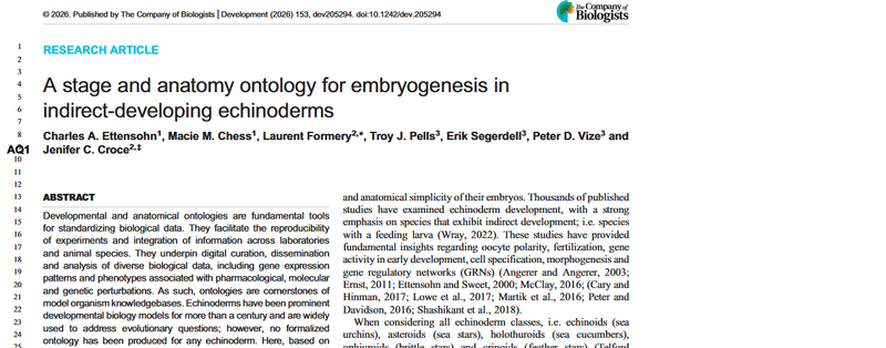 File:ECAO paper announce.png