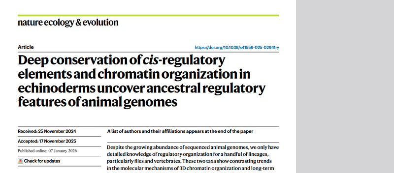 File:New Pminiata SpurpP genomepaper.png