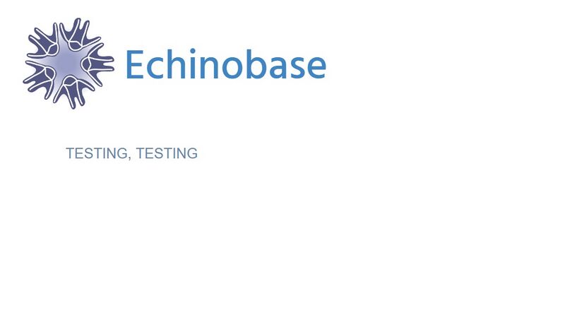 File:Echinobase logo.jpg