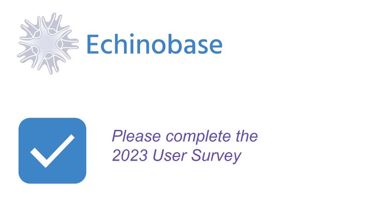 File:2023 User Survey.jpg