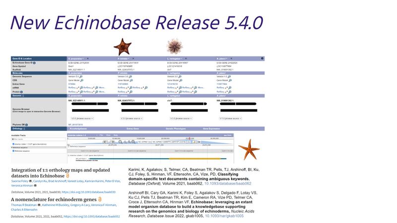 File:NewRelease5.4.0.jpg