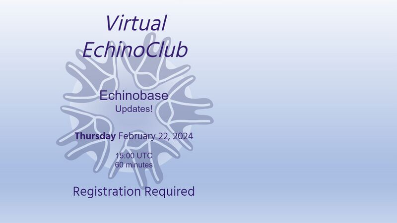 File:2024 EchinoClub Feb.jpg
