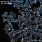 early embryo: late gastrula stage, mid-gastrula stage, mid-mesenchyme blastula stage (DAPI overlay)