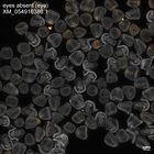early embryo: late gastrula stage, mid-gastrula stage, mid-mesenchyme blastula stage (DAPI overlay)