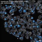 early embryo: late gastrula stage, mid-gastrula stage, mid-mesenchyme blastula stage (DAPI overlay)