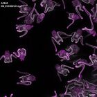 gastrula–juvenile: early feeding larva period (DAPI overlay)