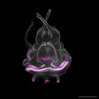 gastrula–juvenile: late feeding larva period (DAPI overlay)