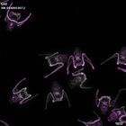 gastrula–juvenile: early feeding larva period (DAPI overlay)