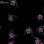 gastrula–juvenile: early feeding larva period (DAPI overlay)