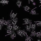 gastrula–juvenile: early feeding larva period (DAPI overlay)