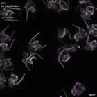 gastrula–juvenile: early feeding larva period (DAPI overlay)