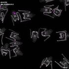 gastrula–juvenile: early feeding larva period (DAPI overlay)