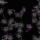 gastrula–juvenile: early feeding larva period (DAPI overlay)