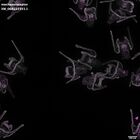 gastrula–juvenile: early feeding larva period (DAPI overlay)