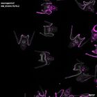 gastrula–juvenile: early feeding larva period (DAPI overlay)