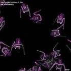 gastrula–juvenile: early feeding larva period (DAPI overlay)