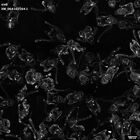 gastrula–juvenile: early feeding larva period (HCR signal)