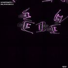 gastrula–juvenile: early feeding larva period (DAPI overlay)