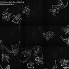 gastrula–juvenile: early feeding larva period (HCR signal)